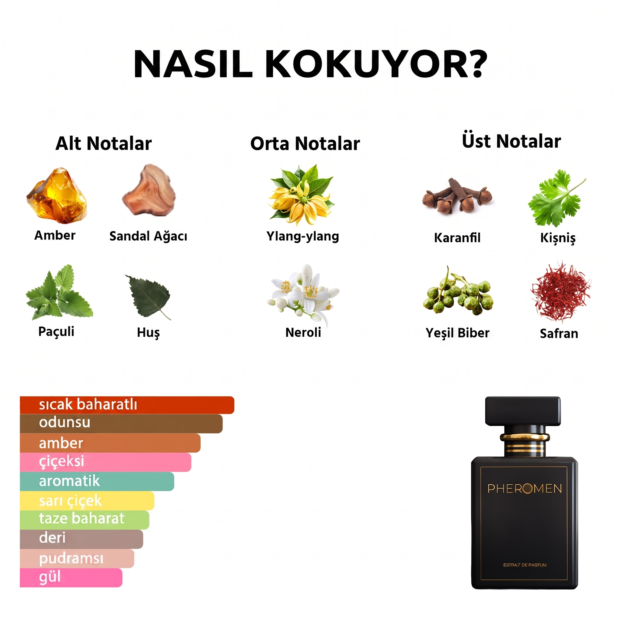 Pheromen koku notları